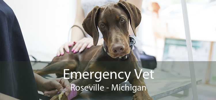 Emergency Vet Roseville - Michigan