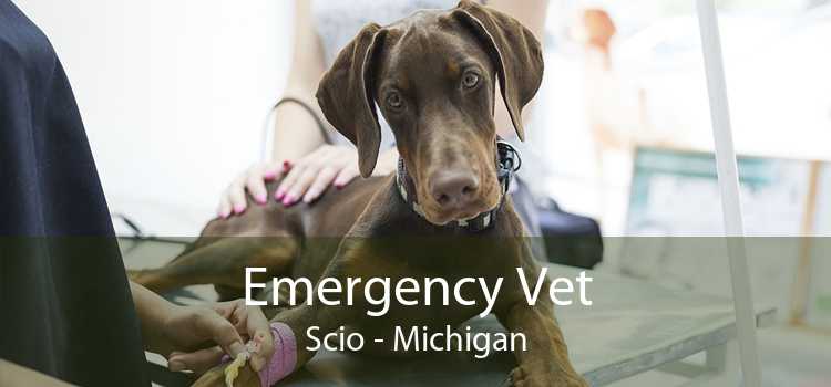 Emergency Vet Scio - Michigan