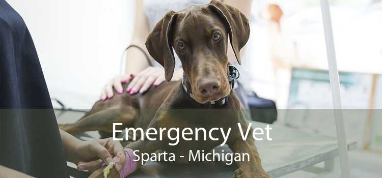 Emergency Vet Sparta - Michigan