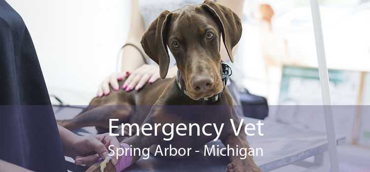 Emergency Vet Spring Arbor - Michigan