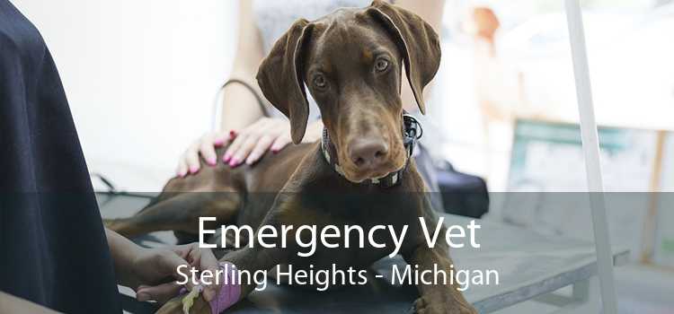 Emergency Vet Sterling Heights - Michigan