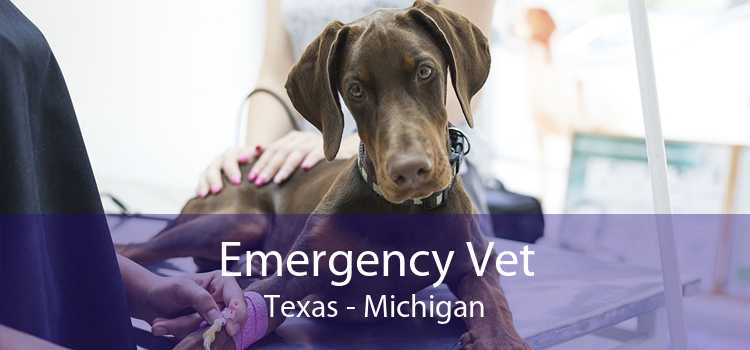 Emergency Vet Texas - Michigan