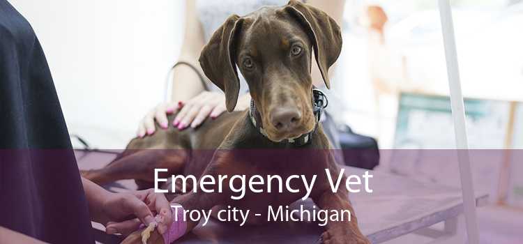 Emergency Vet Troy city - Michigan