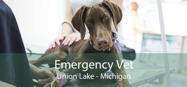 Emergency Vet Union Lake - Michigan