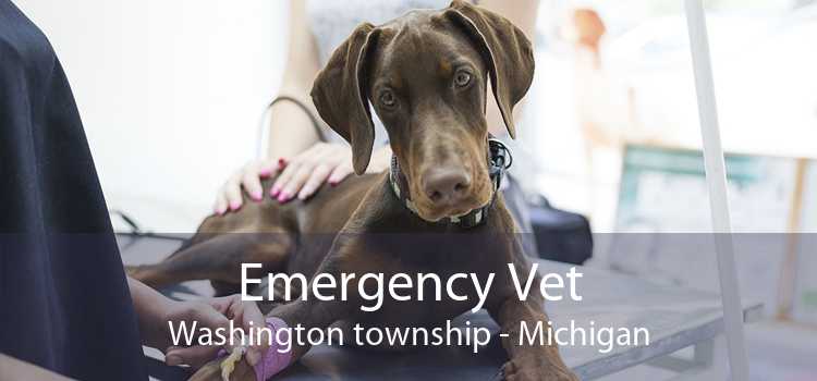 Emergency Vet Washington township - Michigan