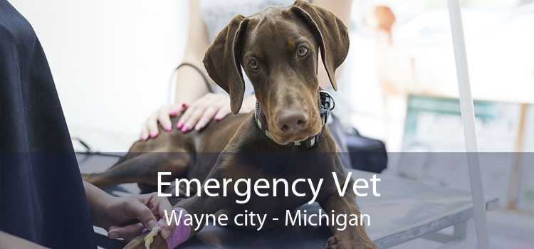 Emergency Vet Wayne city - Michigan