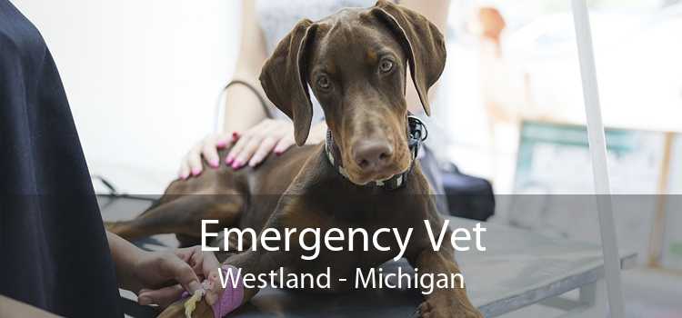 Emergency Vet Westland - Michigan