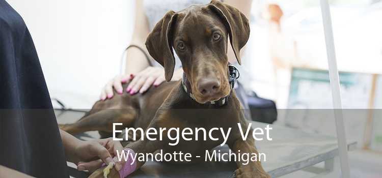 Emergency Vet Wyandotte - Michigan