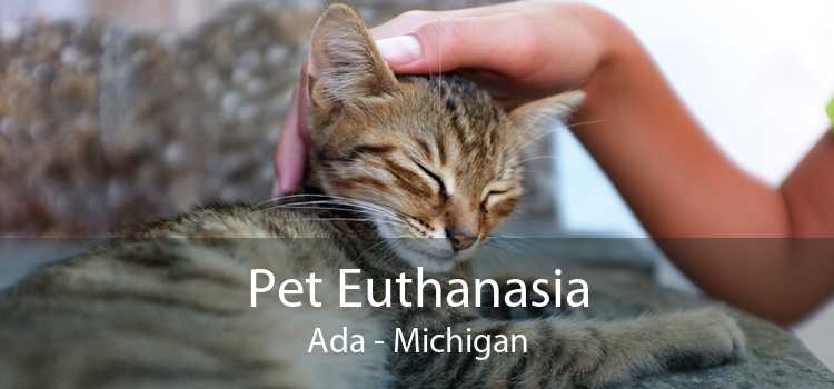 Pet Euthanasia Ada - Michigan