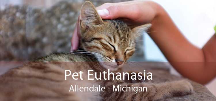 Pet Euthanasia Allendale - Michigan