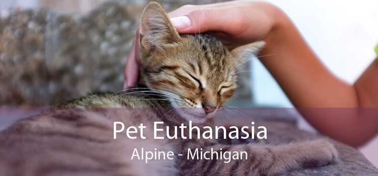 Pet Euthanasia Alpine - Michigan