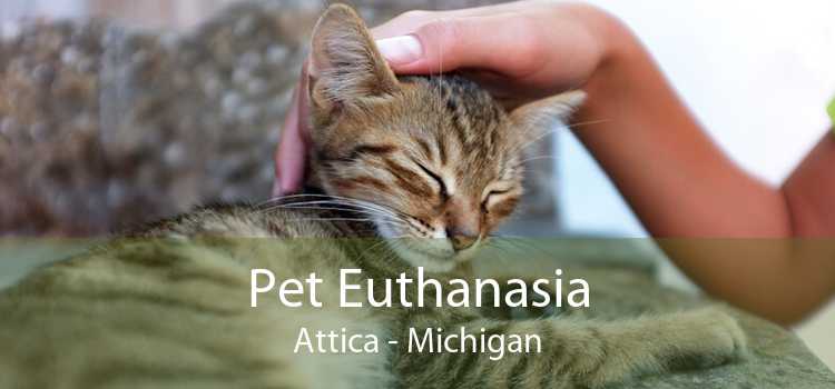 Pet Euthanasia Attica - Michigan