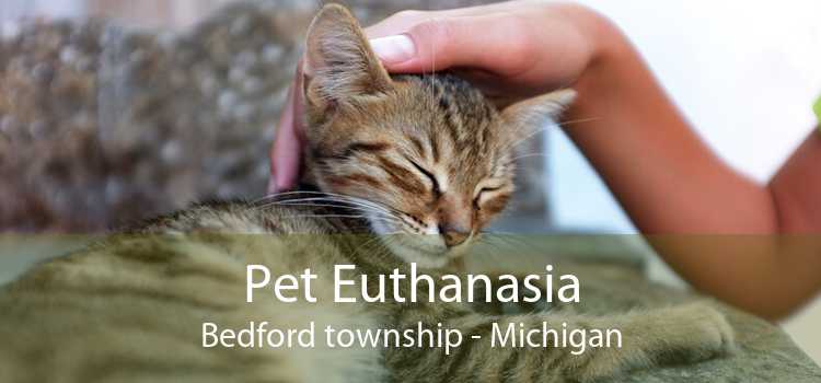 Pet Euthanasia Bedford township - Michigan