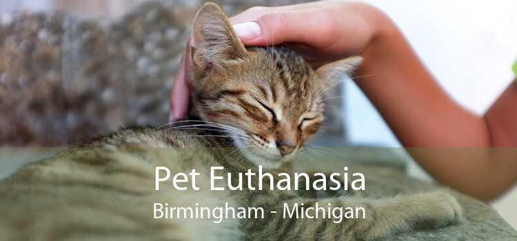 Pet Euthanasia Birmingham - Michigan