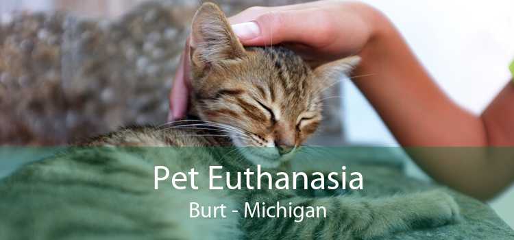 Pet Euthanasia Burt - Michigan