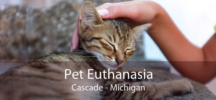 Pet Euthanasia Cascade - Michigan