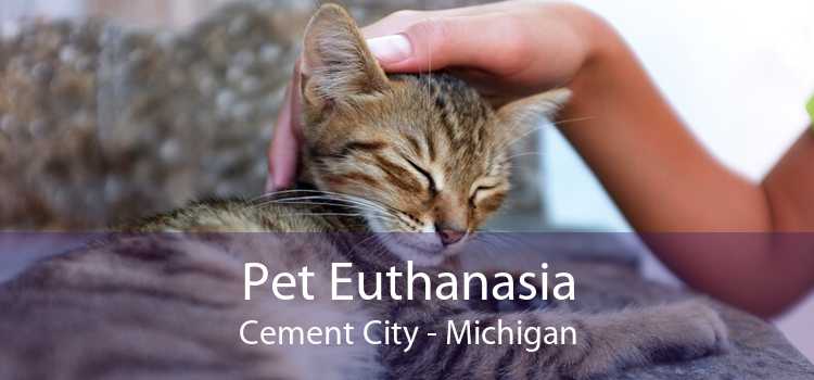 Pet Euthanasia Cement City - Michigan