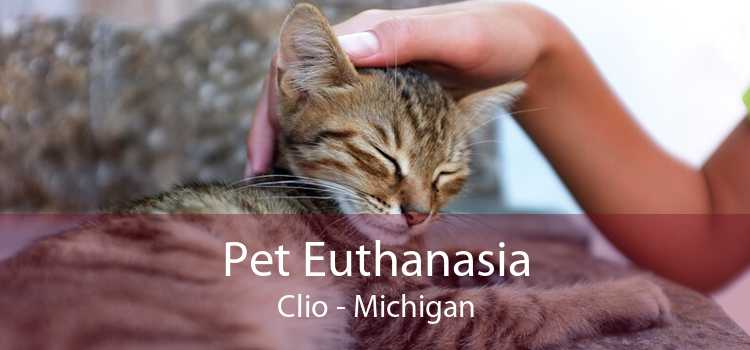 Pet Euthanasia Clio - Michigan