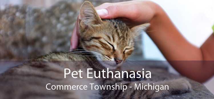 Pet Euthanasia Commerce Township - Michigan