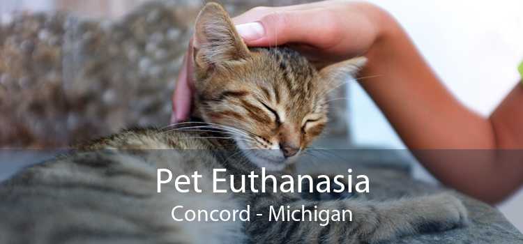 Pet Euthanasia Concord - Michigan