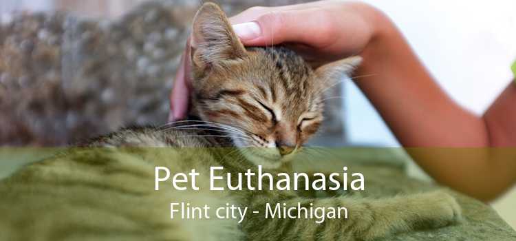 Pet Euthanasia Flint city - Michigan