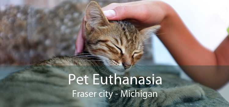 Pet Euthanasia Fraser city - Michigan