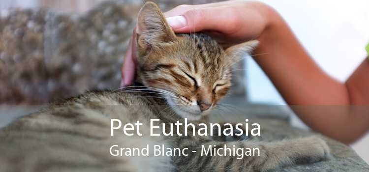 Pet Euthanasia Grand Blanc - Michigan