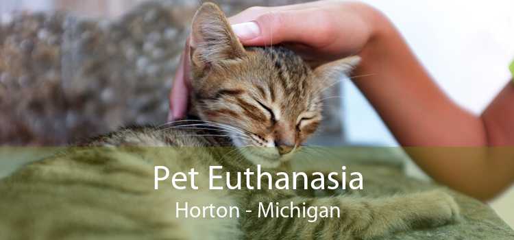 Pet Euthanasia Horton - Michigan
