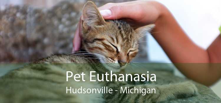 Pet Euthanasia Hudsonville - Michigan