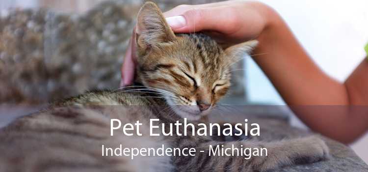 Pet Euthanasia Independence - Michigan
