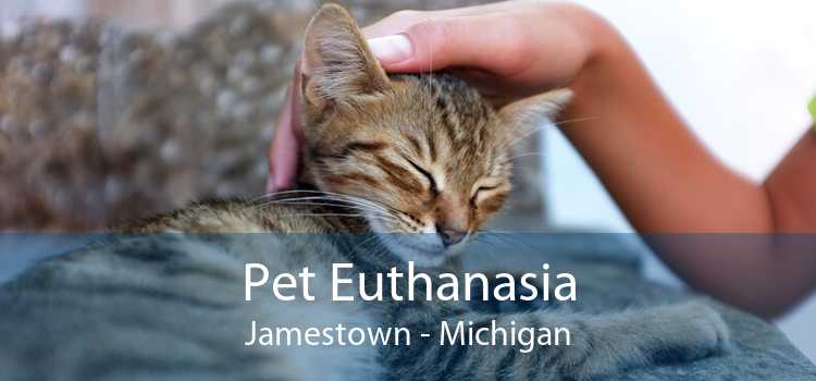 Pet Euthanasia Jamestown - Michigan