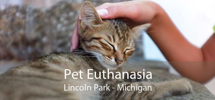 Pet Euthanasia Lincoln Park - Michigan