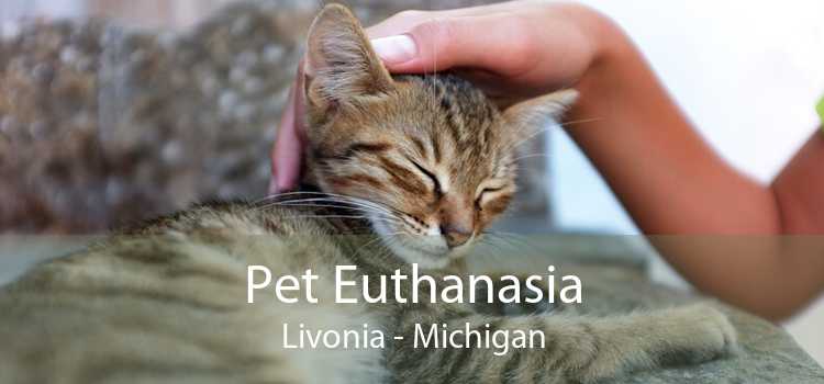 Pet Euthanasia Livonia - Michigan