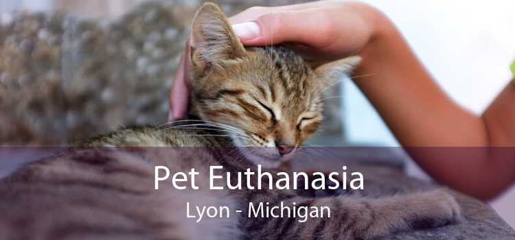 Pet Euthanasia Lyon - Michigan