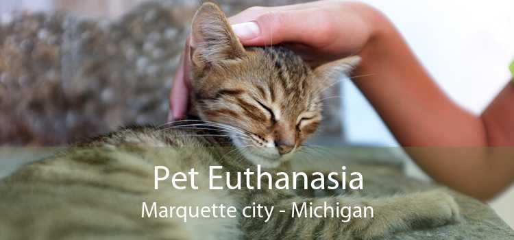 Pet Euthanasia Marquette city - Michigan