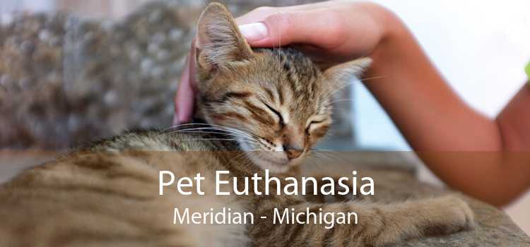 Pet Euthanasia Meridian - Michigan