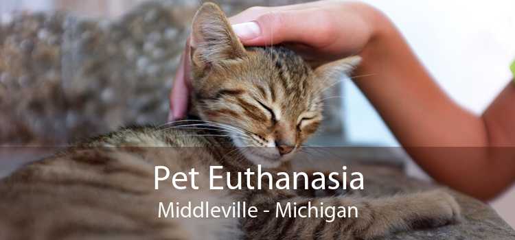 Pet Euthanasia Middleville - Michigan