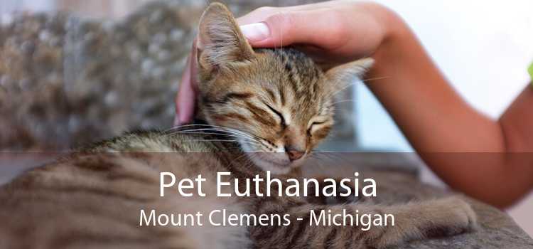 Pet Euthanasia Mount Clemens - Michigan