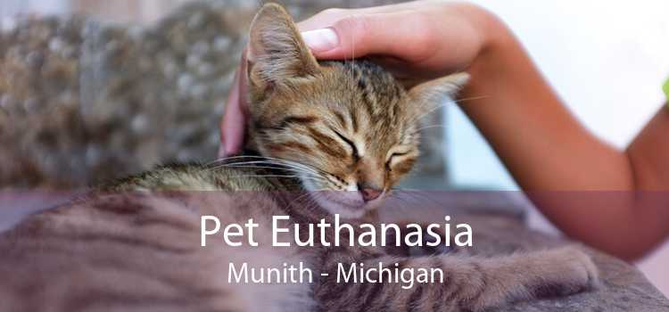 Pet Euthanasia Munith - Michigan