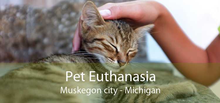 Pet Euthanasia Muskegon city - Michigan