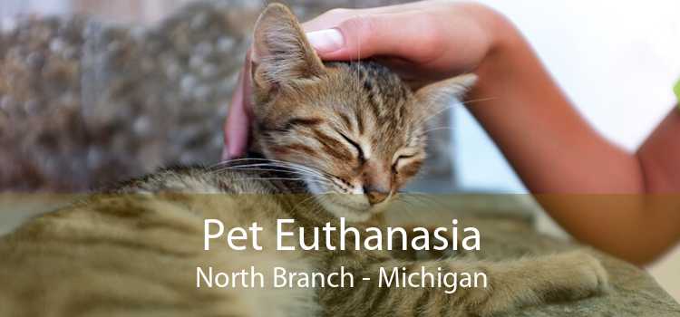Pet Euthanasia North Branch - Michigan