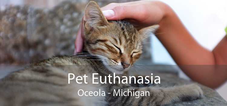 Pet Euthanasia Oceola - Michigan