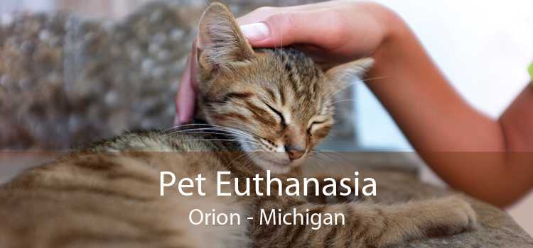 Pet Euthanasia Orion - Michigan