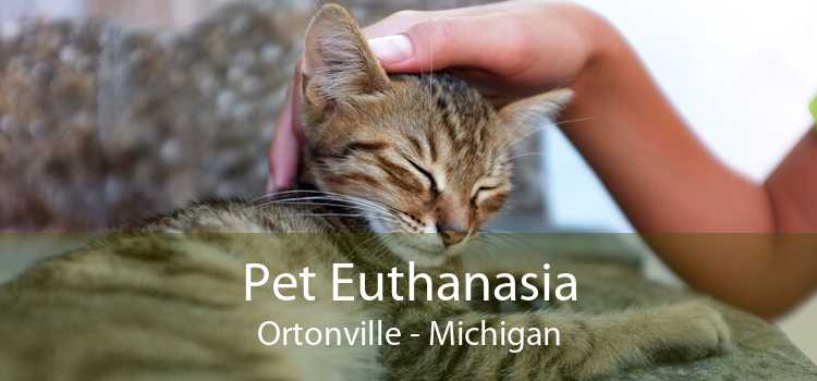 Pet Euthanasia Ortonville - Michigan