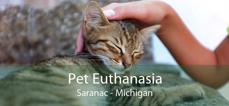 Pet Euthanasia Saranac - Michigan