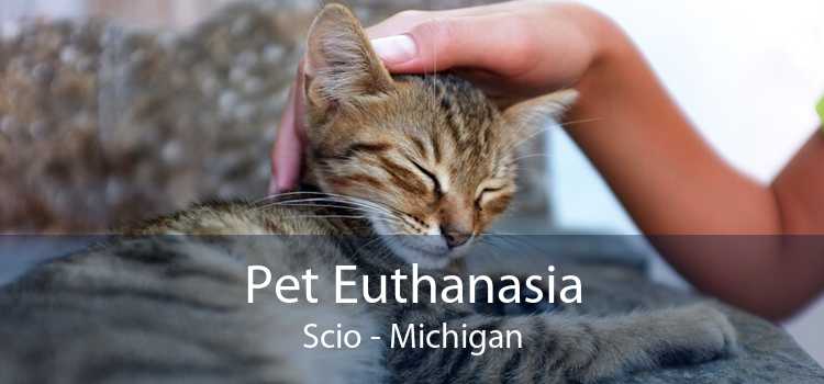 Pet Euthanasia Scio - Michigan