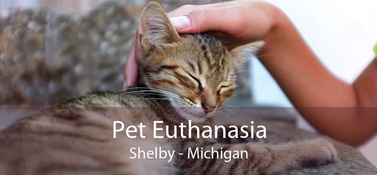 Pet Euthanasia Shelby - Michigan