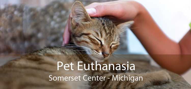 Pet Euthanasia Somerset Center - Michigan