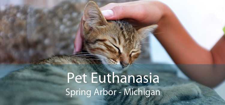 Pet Euthanasia Spring Arbor - Michigan