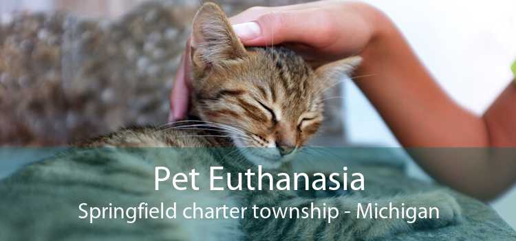 Pet Euthanasia Springfield charter township - Michigan
